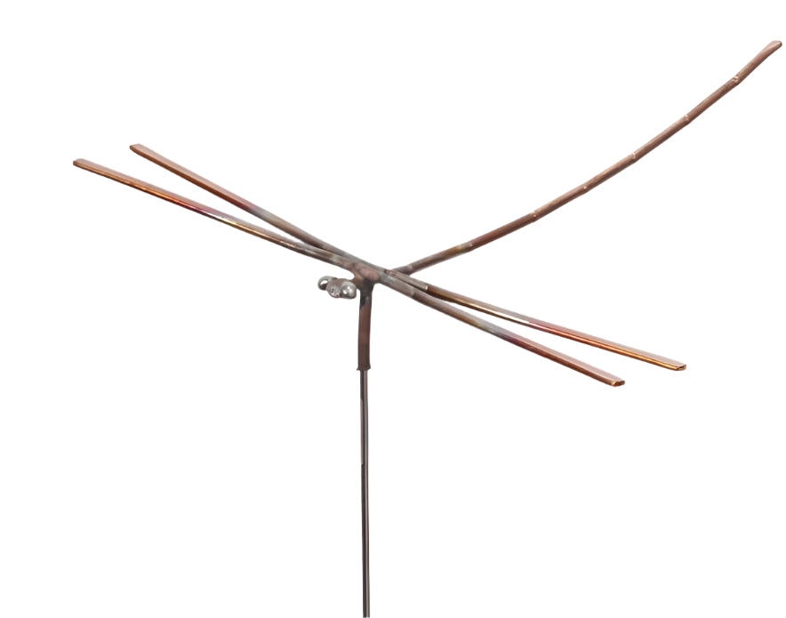 Large dancing dragonfly